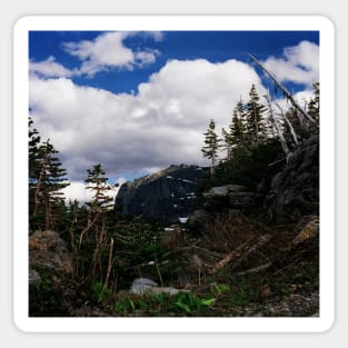 Logan's Pass, Glacier N.P., Montana Sticker